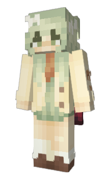 Minecraft skin Mgpl