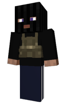 Minecraft skin wspo