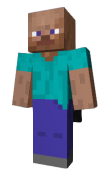 Minecraft skin Bung