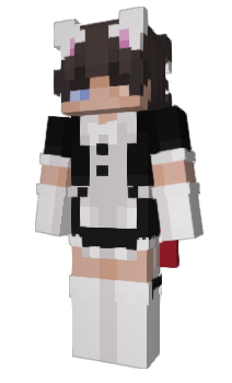 Minecraft skin Tolki