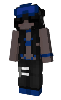 Minecraft skin Lvit