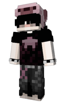 Minecraft skin Recordimg