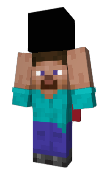 Minecraft skin 12pi
