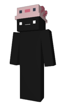 Minecraft skin pinklo