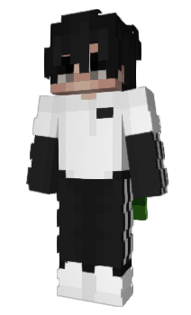 Minecraft skin misnow