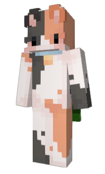 Minecraft skin misterairz