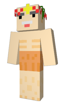 Minecraft skin 280ml