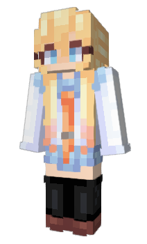 Minecraft skin Zekkken