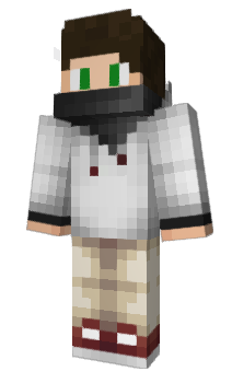 Minecraft skin Legris