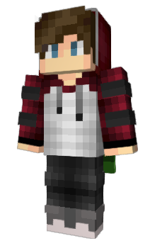 Minecraft skin Villyx