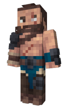 Minecraft skin TJEV
