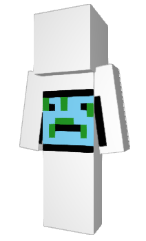 Minecraft skin cartographic