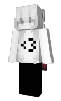 Minecraft skin Hakoi