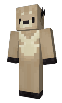 Minecraft skin Noopder