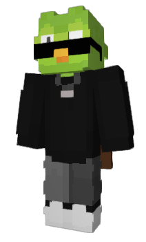 Minecraft skin DuolingoBombado