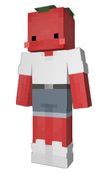 Minecraft skin roubz