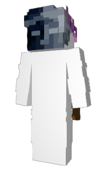 Minecraft skin V1era