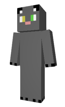 Minecraft skin Hanye