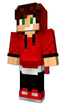 Minecraft skin Panda_PR