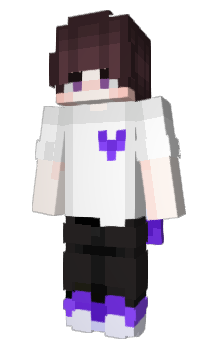 Minecraft skin Paand