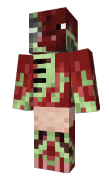 Minecraft skin Zipcord24