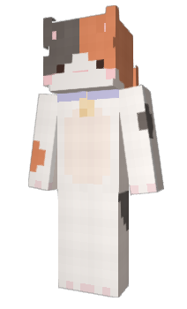 Minecraft skin lluu