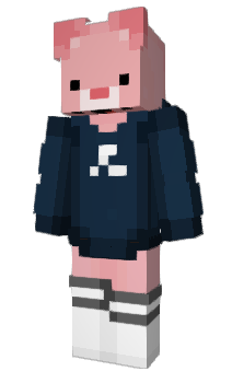 Minecraft skin Endlesz