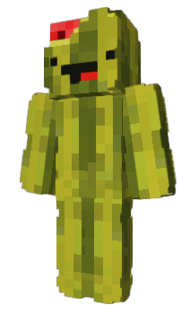 Minecraft skin d5n