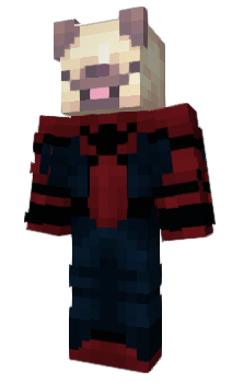 Minecraft skin BakBog