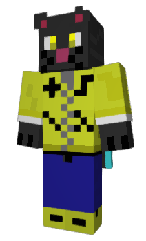 Minecraft skin Robokot