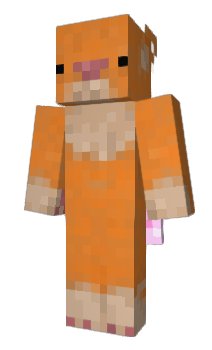Minecraft skin Cklet