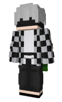 Minecraft skin msl27