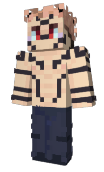 Minecraft skin MR29