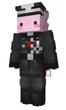 Minecraft skin slonagrad