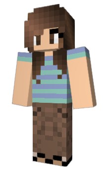 Minecraft skin NikTes