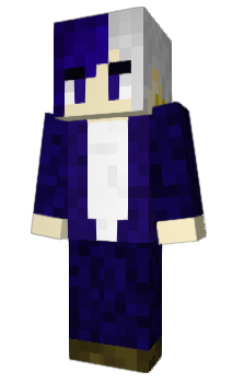 Minecraft skin Connexio