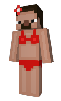 Minecraft skin e18
