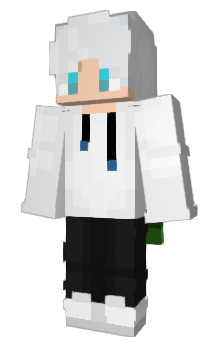 Minecraft skin Namoisnoob