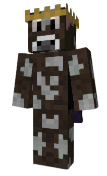Minecraft skin Yater