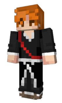 Minecraft skin Brdge