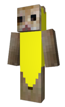 Minecraft skin kay_o