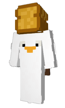 Minecraft skin Cloudy__Gamer