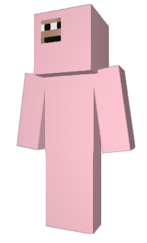 Minecraft skin enterin