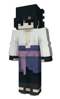 Minecraft skin voidbasket