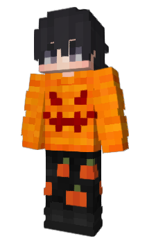 Minecraft skin p023