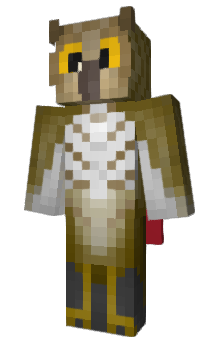 Minecraft скін по ніку _Mr_Owl_