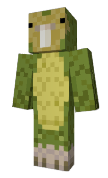 Minecraft skin Kakapo