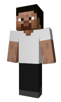 Minecraft skin akcal