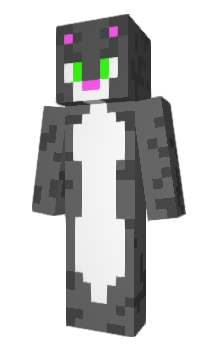 Minecraft skin GreyKitty