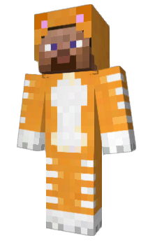 Minecraft skin indy___